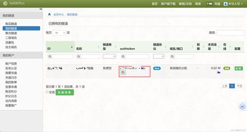在公司內網開發的時候如何和互聯網第三方平臺環境聯調之內網穿透